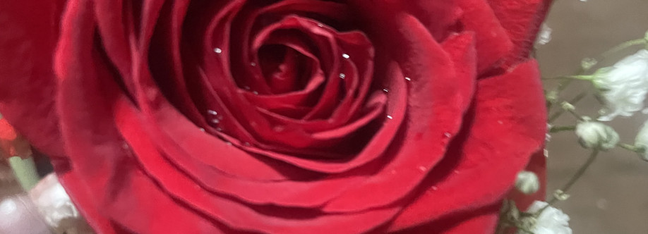 Mimzy L Cover Image